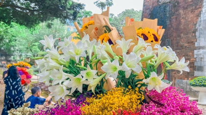 Hoa loa kèn - Món quà tháng Tư của Hà Nội