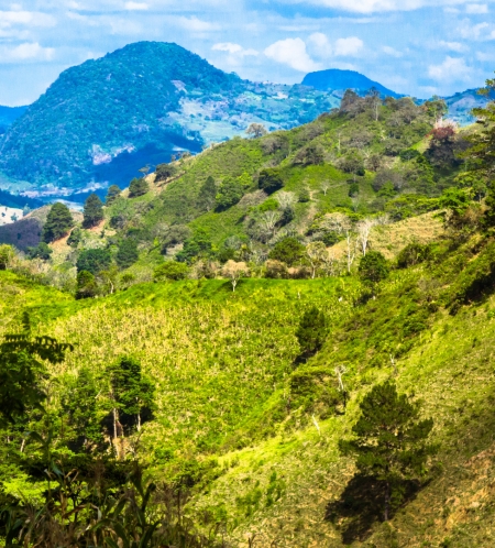 Honduras - “Giấc mơ Trung Mỹ' bên bờ biển Caribe
