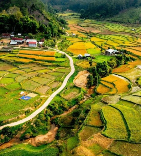 Tất tần tật về du lịch Măng Đen 2025: Ăn gì, chơi gì, ở đâu?