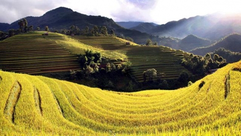Khởi động chương trình quốc gia #WhyVietnam - Quảng bá du lịch Việt ra thế giới