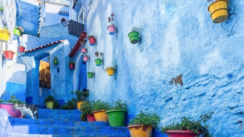 Chefchaouen, hòn ngọc xanh của Morocco