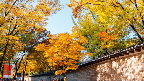 Mùa thu Seoul khiến bao người thương nhớ