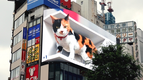 Xuất hiện mèo khổng lồ giữa lòng Tokyo