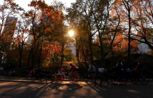 New York, một ngày thu 