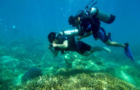 Những điểm lặn biển lý tưởng ở Việt Nam