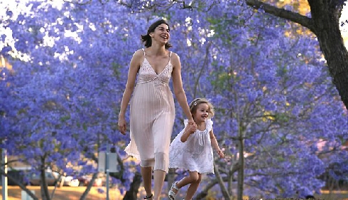 Lễ hội hoa phượng tím lâu đời nhất Australia