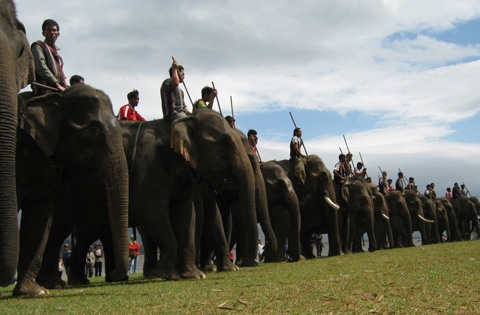 Khám phá Buôn Ma Thuột, dự Lễ hội đua voi