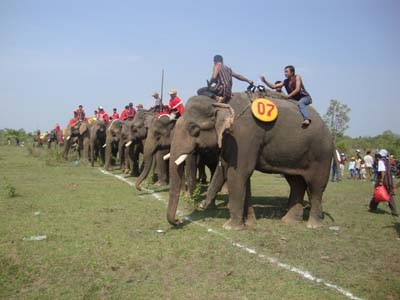Hội đua voi Buôn Đôn - Đắk Lắk hứa hẹn sôi nổi và hấp dẫn