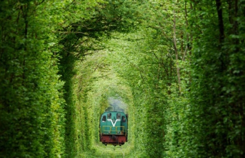 'Đường hầm' tình yêu đẹp như cổ tích ở Ukraine 