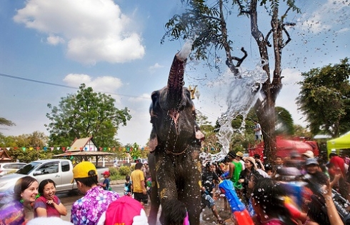 Hòa mình vào lễ hội té nước sôi động ở Thái Lan