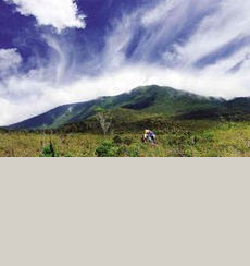 Di sản thiên nhiên thế giới: Khu vực bảo tồn tại núi Hamiguitan, Philippines
