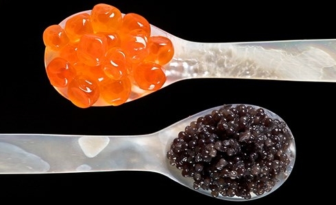 Trứng cá hảo hạng Caviar, 'ngọc trai đen' từ biển cả