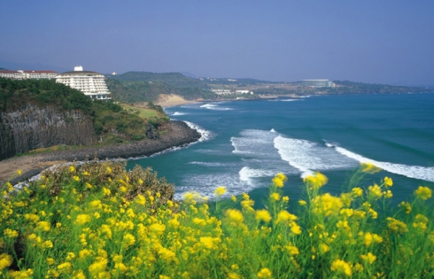 Ngoạn đảo tình yêu Jeju, hưởng chính sách miễn visa