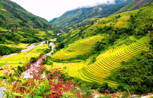 Vietravel Hà Nội mở tuyến du lịch cao tốc Yên Bái - Sapa