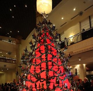 Lễ thắp sáng cây thông Noel 2014 tại Hilton Hanoi Opera