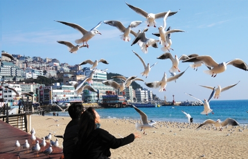Busan, nơi hơi thở điện ảnh hòa cùng nhịp sống hải cảng