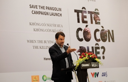 WildAid và CHANGE khởi động chiến dịch mới nhằm bảo vệ tê tê