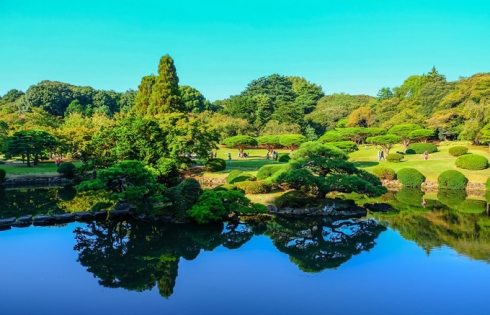 Đến Tokyo tham quan The Garden of Words