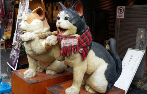 Lạc lối ở thị trấn mèo Tokyo
