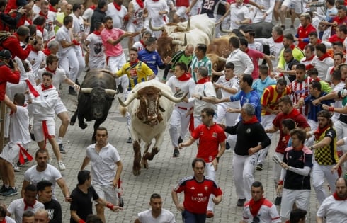 Cận cảnh lễ hội đua bò ở Tây Ban Nha