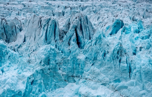Tìm thấy nhựa trong lõi băng ở Bắc Cực