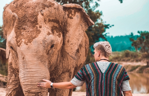 Campuchia cấm du khách cưỡi voi ở Angkor