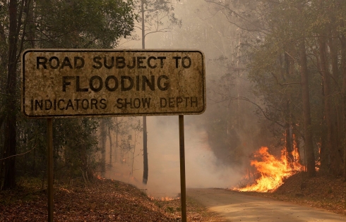 Mưa lớn giúp dập cháy rừng ở Australia