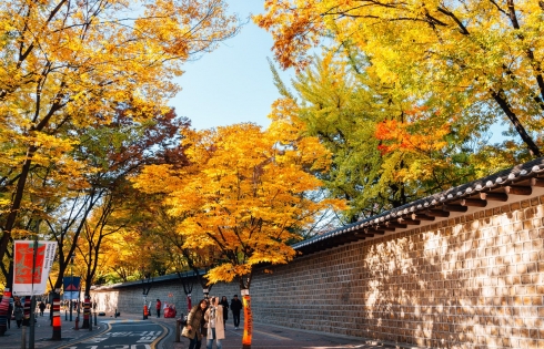 Mùa thu Seoul khiến bao người thương nhớ