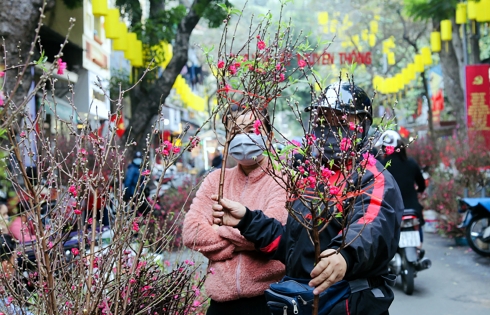 Hà Nội sẽ có 78 chợ hoa Xuân phục vụ Tết