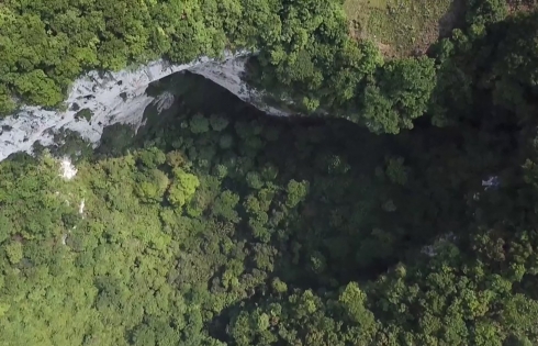 Trung Quốc tìm thấy một khu rừng ẩn bên trong hố sâu gần 200m