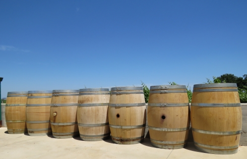 Khám phá vùng trồng nho làm rượu vang nổi tiếng thế giới Abruzzo (Italy)