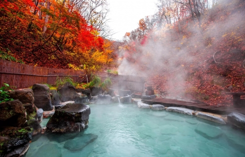 Ngâm mình trong suối nước nóng ở làng Nyuto Onsen