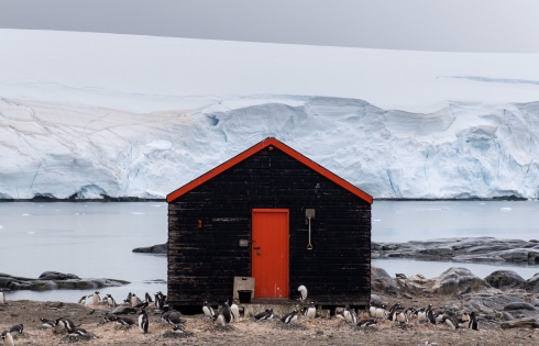 Công việc độc lạ ở Nam Cực, thu nhập cực khủng