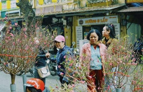 Chợ hoa Hàng Lược, nơi mỗi năm chỉ họp duy nhất một lần ở Thủ đô