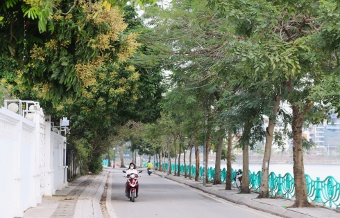 Con phố chỉ hơn 1 km ở Hà Nội lọt top 30 đường phố đẹp nhất thế giới