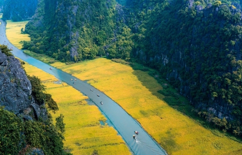 Ngô Đồng, dòng sông không có bờ
