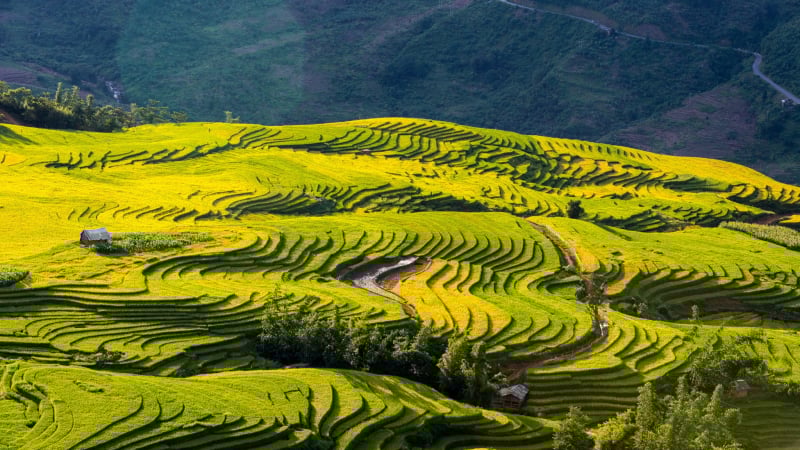 Y Tý hướng tới thành khu đô thị du lịch