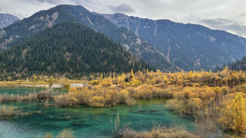 Thưởng thức 'rét ngọt' vào mùa lá vàng rơi tại Kazakhstan