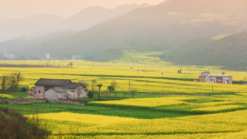 Trung Quốc: Du khách không với điểm đến nổi tiếng, “đổ xô” về những vùng quê thanh bình