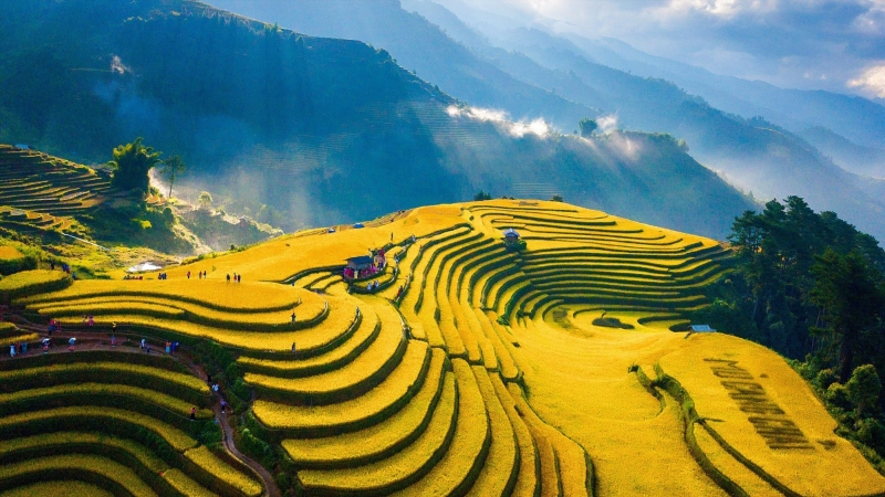 Việt Nam là điểm đến mang lại chuỗi giá trị du lịch tuyệt vời nhất năm 2024