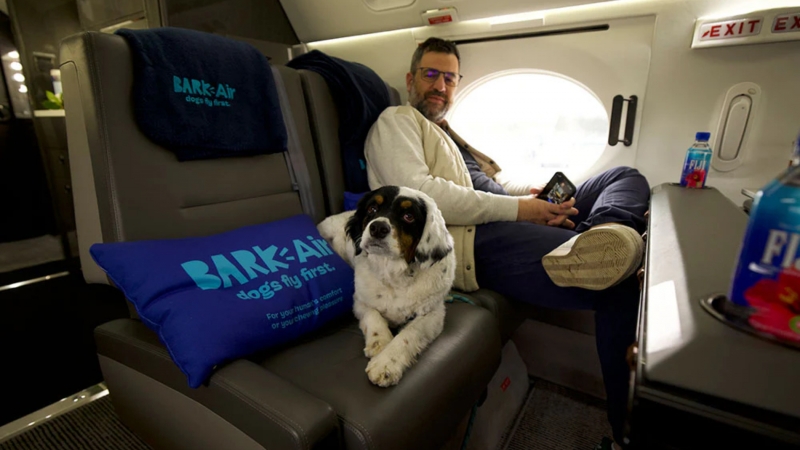 Xuất hiện hãng hàng không dành cho chó: Giá cao ngất ngưởng 1 cặp vé