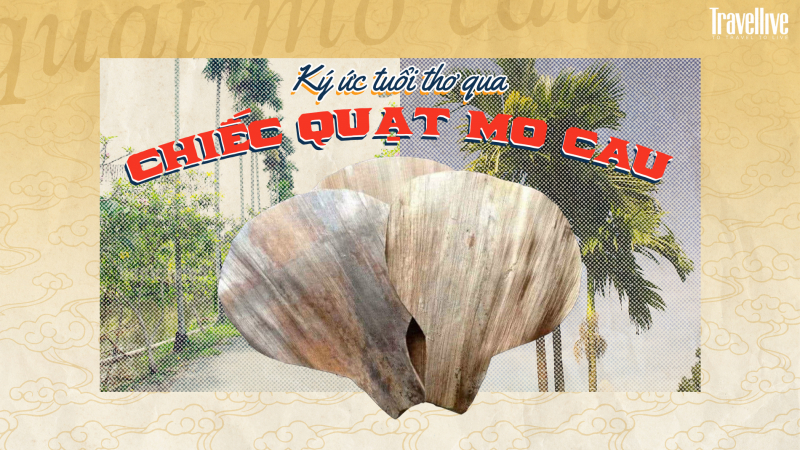 Ký ức tuổi thơ qua chiếc quạt mo cau