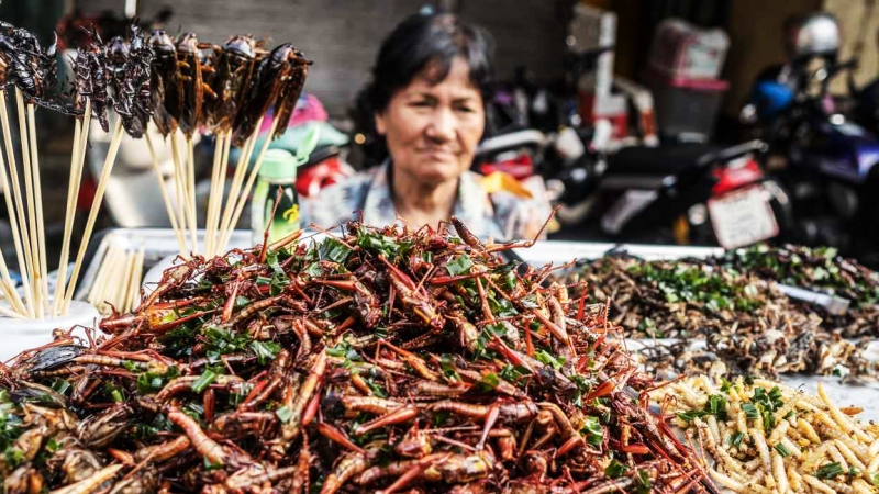 Singapore chấp nhận nhiều loại côn trùng làm thực phẩm tiêu dùng