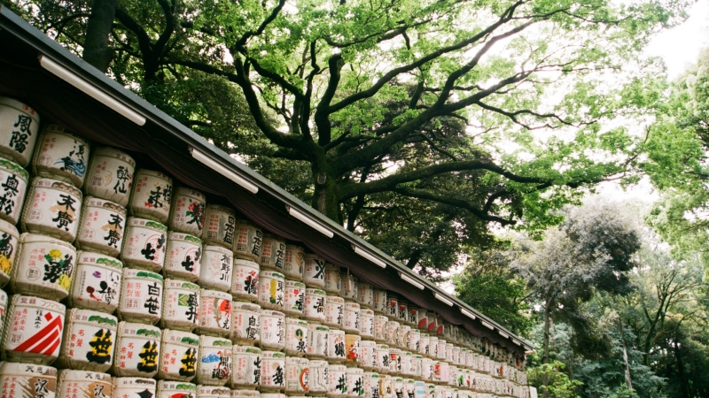 UNESCO xem xét công nhận kỹ thuật nấu rượu sake là di sản văn hóa phi vật thể