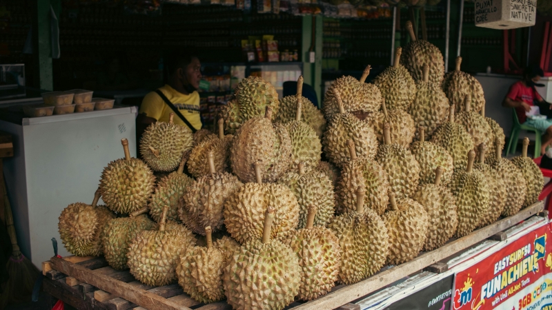 Tour du lịch sầu riêng thu hút du khách ở Malaysia