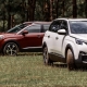 Peugeot nâng cao chất lượng dịch vụ