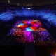 Ấn tượng từ Bế mạc Thế vận hội Olympic Tokyo 2020