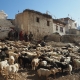 Zanskar: Miền đất lạ bên dãy Himalaya