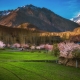 Mùa xuân dịu dàng ở Hunza