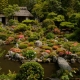 5 khu vườn đẹp nhất Kyoto